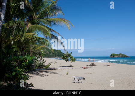 Playa Cocles in Puerto Viejo, Costa Rica, Central America Stock Photo