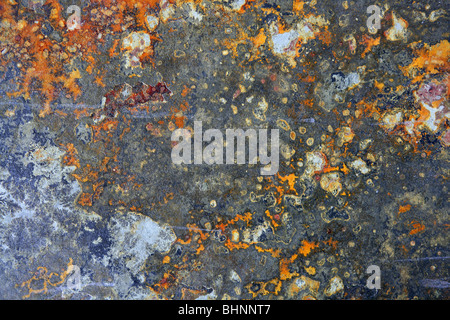 Slate stone background texture rusty orange and gray Stock Photo