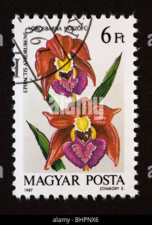 Hungarian postage stamp showing an orchid Stock Photo - Alamy