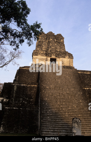 Sunrise over Mayan ruins of Temple I in the Great Plaza of UNESCO World Heritage site of Tikal- Tikal, Guatemala Stock Photo