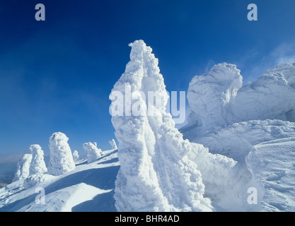 Juhyō in Zaō Stock Photo - Alamy