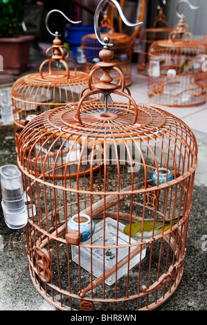 Captive white eye birds in bamboo cages, Taipei, Taiwan Stock Photo