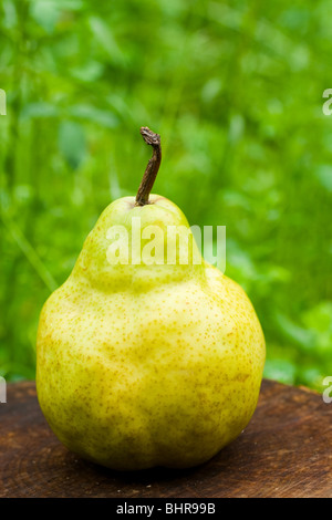 Single pear on a log over blurred green background Stock Photo