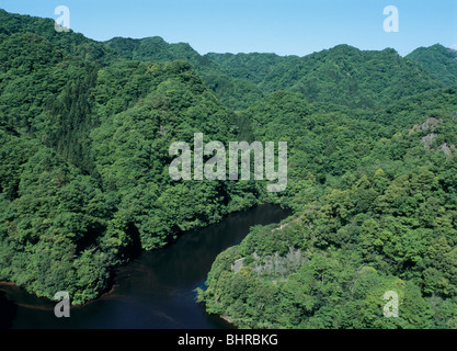 Ryu jin hi-res stock photography and images - Alamy