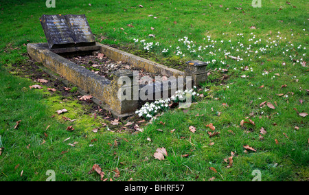 Old Worn Headstone With Snowdrops In A Norfolk Churchyard Stock Photo 