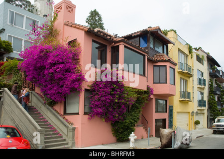 Brightly colored houses on Telegraph Hill, San Francisco, California USA, one covered in Bougainvillea Stock Photo