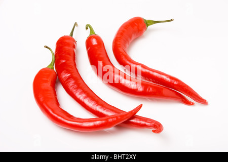 four vibrant red chillis isolated on white background. Stock Photo
