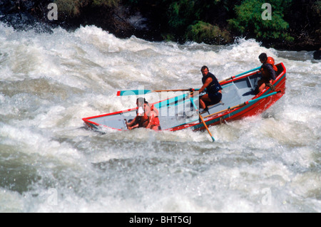 Adventure travelers in Grand Canyon Dory bouncing through whitewater rapids at Lava Falls on Colorado River Stock Photo