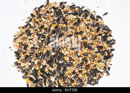 wild bird food on white background Stock Photo