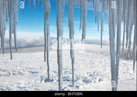 Winter landscape with icicles and blue sky in the background, Karkonosze Mountains, Poland Stock Photo