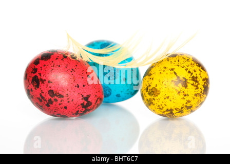Three quail eggs with feather colored for Easter Stock Photo