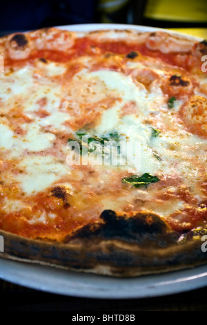 Neapolitan Pizza margherita, with buffalo mozzarella, famous from Naples, Campania, Italy, Europe Stock Photo