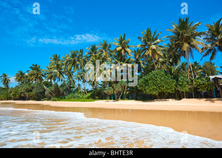 Tropical paradise idyllic beach. Mirissa, Sri Lanka Stock Photo