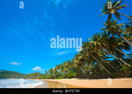 Tropical paradise idyllic beach. Mirissa, Sri Lanka Stock Photo