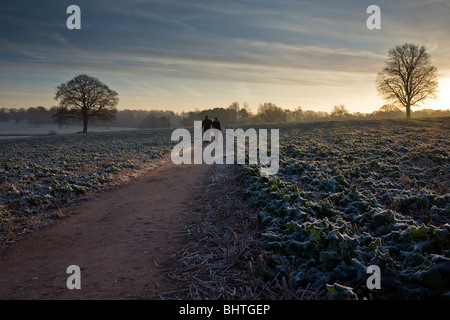 Couple walking across field Stock Photo