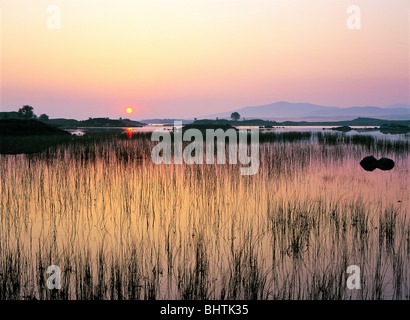 Summer sunrise over Loch Ba and Rannoch Moor at the top eastern end of Glencoe in the Highland region of Scotland, UK Stock Photo