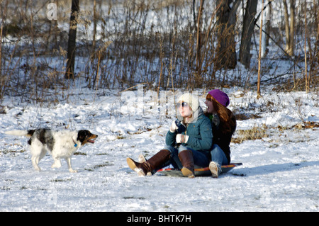 Two Teenage Girls Sledding with Dog in Cherokee Park in Louisville, Kentucky Stock Photo