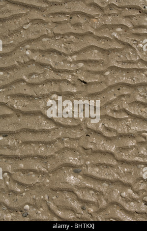 Close up of Sand at the beach perfect background / texture. Stock Photo