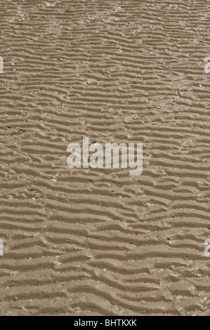 Close up of Sand at the beach perfect background / texture. Stock Photo
