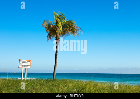 Tree and beach scene with Swim At Your Own Risk sign, horizontal perspective Stock Photo
