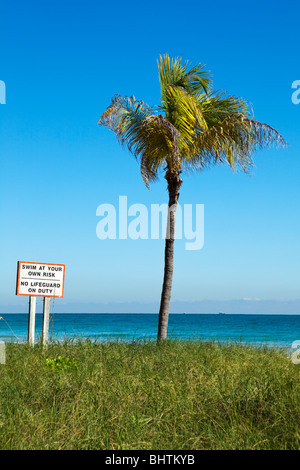 Tree and beach scene with Swim At Your Own Risk sign, vertical perspective Stock Photo