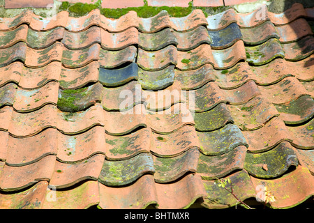 Old clay fired pan tile roof tiles roofing tiling Stock Photo
