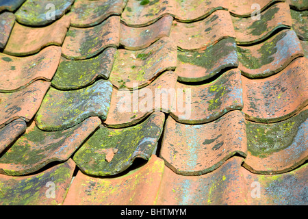 Old clay fired pan tile roof Stock Photo