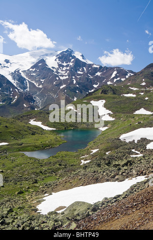 summer view of Cevedale mountain with a small lake in Stelvio National park, Trentino, Italy. Stock Photo