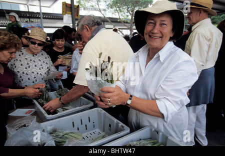 Asparagus Sellers at the Farmers Market Sydney New South Wales Australia Stock Photo