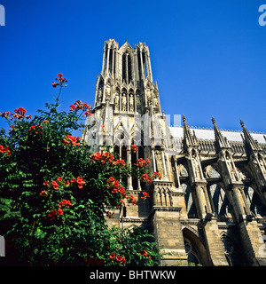 Notre-Dame gothic cathedral 13th Century, Reims, Marne, Champagne, Grand Est, France, Europe, Stock Photo