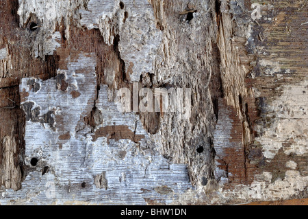 Wood Background - John Gollop Stock Photo