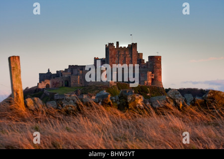 Bamburgh Castle in evening sun Northumberland England Stock Photo