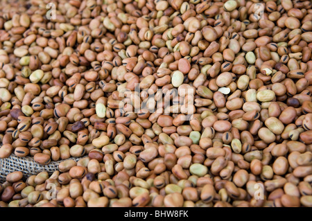 Beans on sale in Beirut Lebanon Middle East Stock Photo