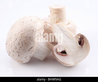 Handful of champignons on a white background Stock Photo