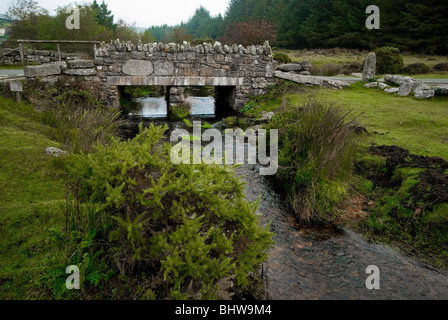 Stone Bridge over a stream in Dartmoor National Park Stock Photo