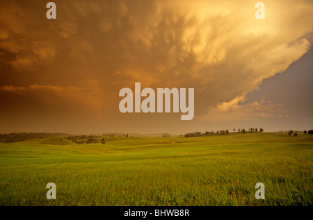 Sunset on giant thunderstorm cloud over prairie at Wind Cave National Park in the Black Hills of South Dakota, USA Stock Photo