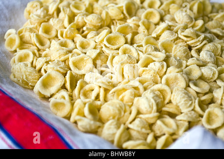 Apulian Orecchiette, handmade fresh pasta typicall and famous in Apulia, South of Italy Stock Photo