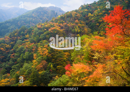 Umenoki Todoro Bridge, Yatsushiro, Kumamoto, Japan Stock Photo - Alamy