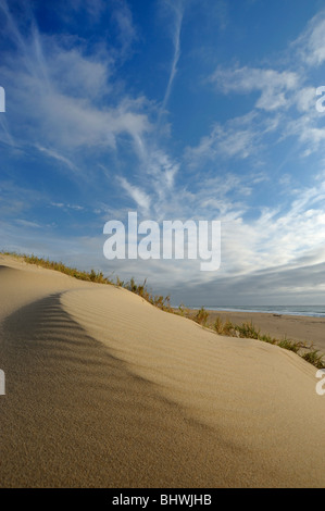 Low angle view of sand dunes with a dramatic cloud sky in the background, St Lucia, Kwazulu Natal, South Africa Stock Photo