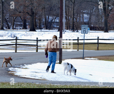 A woman walking two dogs in the snow. One dog likes the snow the other does not.