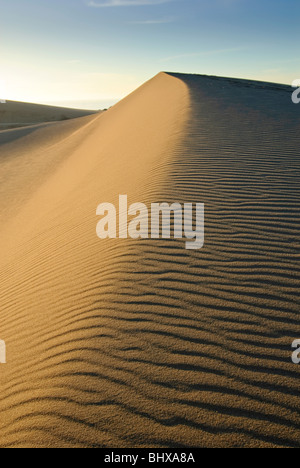 Beautiful sand dunes of the Rancho Guadalupe Dunes Preserve in Central California. Stock Photo