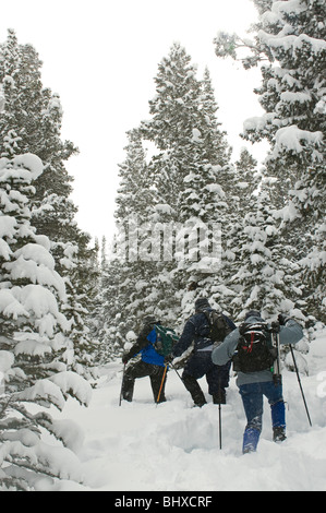 Group of three hikers on trail snowshoeing  at Estes Park in Colorado mountains. Stock Photo