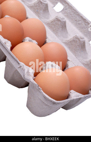 Farm Fresh Eggs In A Cardboard Box Stock Photo