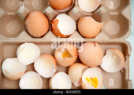 Broken eggshells Stock Photo