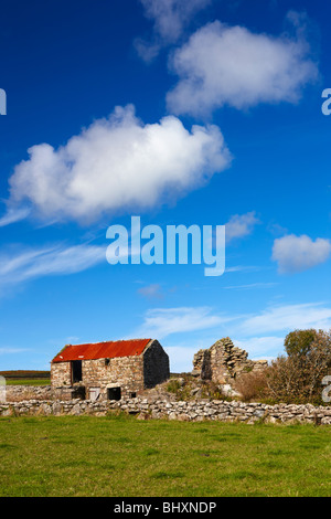 Derelict farm building on the West Penwith Moors Near Bosullow and Men-An-Tol Stock Photo