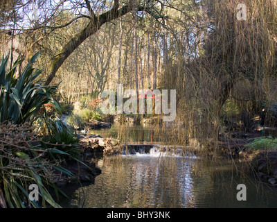 Peasholm Glen, Scarborough Stock Photo