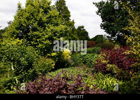 SUMMER SHRUBBERY AT RHS HYDE HALL. ESSEX UK. Stock Photo