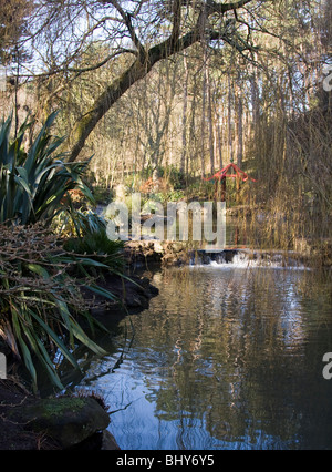 Peasholm Glen, Scarborough Stock Photo