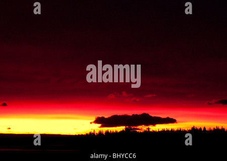 NEWFOUNDLAND, BRILLIANT SUNRISE against forest TREES/ GROS MORNE NATIONAL PARK Stock Photo