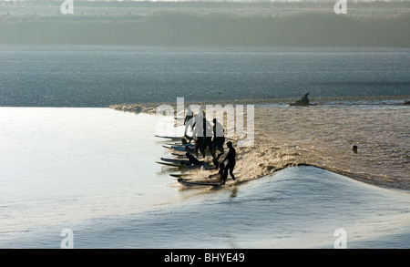 Surfers riding the Severn Bore near Newnham, Glos in the early morning sunshine. The bore was five star rated, which means the b Stock Photo